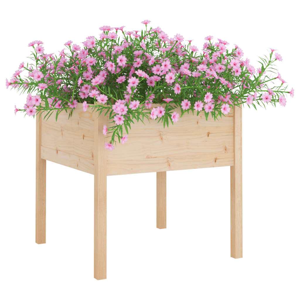 Vidaxl Planters 2 ST 70x70x70 cm Pine solide