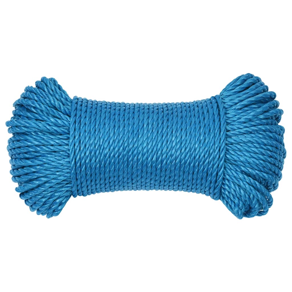 Vidaxl werkouw 6 mm 50 m de polypropène bleu