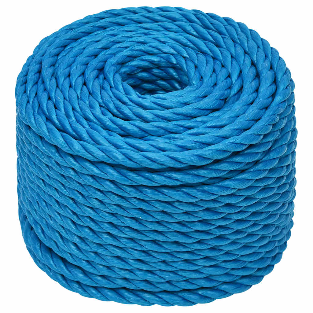 Vidaxx corde de travail 10 mm 50 m polypropylène bleu
