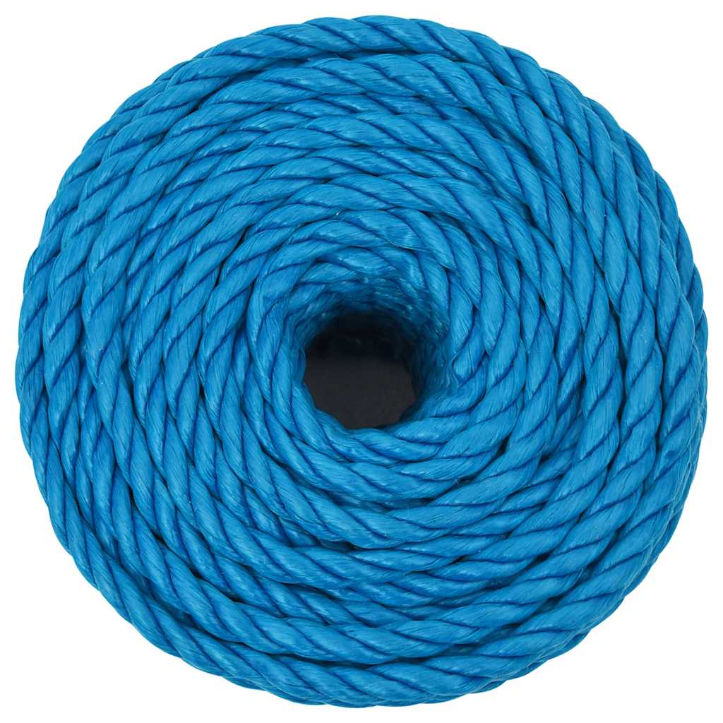 Vidaxx corde de travail 10 mm 50 m polypropylène bleu