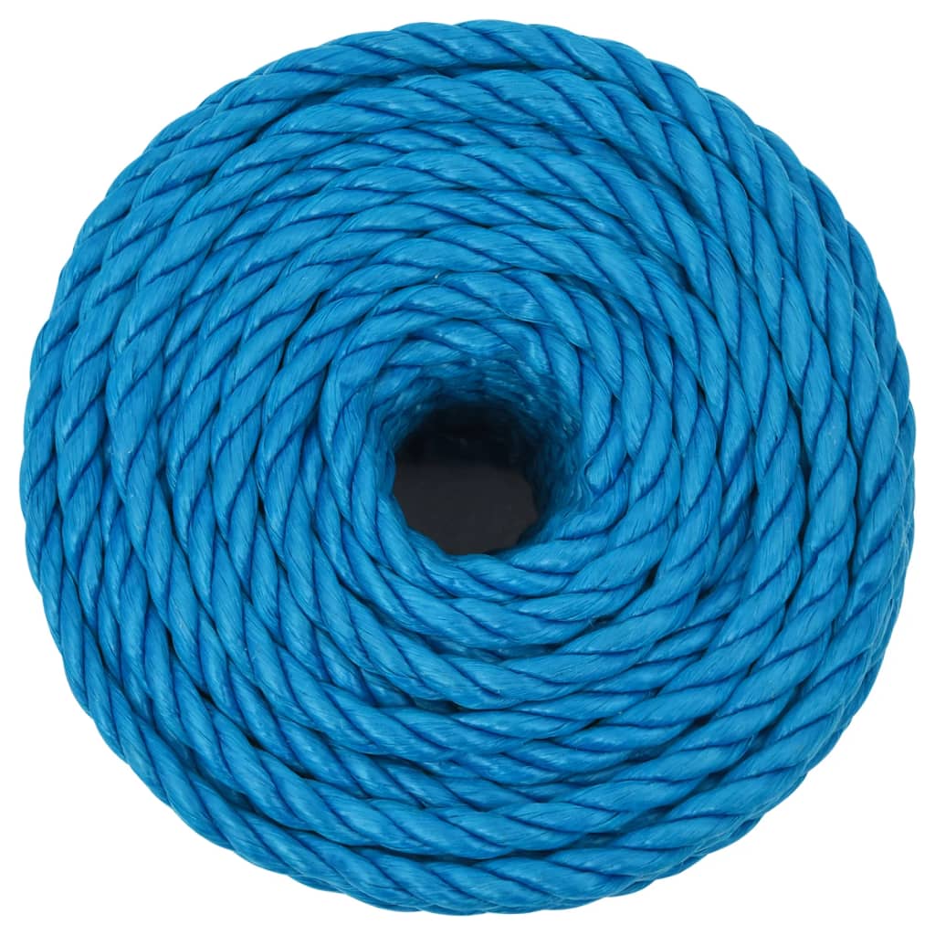 Vidaxx corde de travail 12 mm 25 m polypropylène bleu