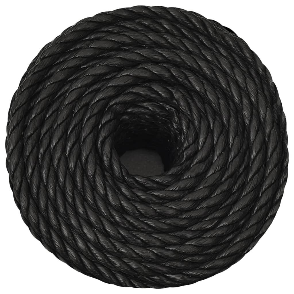 Vidaxx corde de travail 10 mm 250 m polypropylène noir