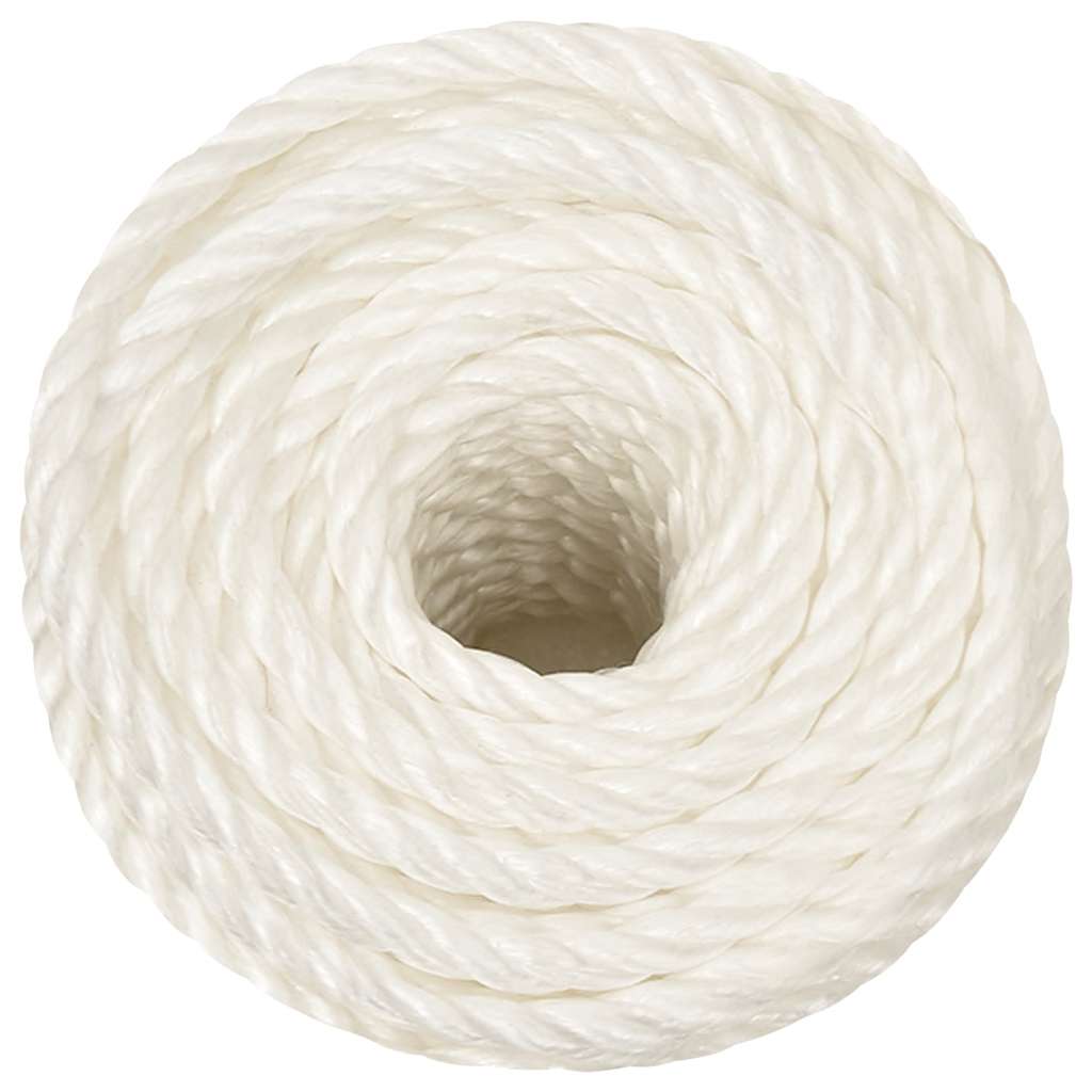 Vidaxx corde de travail 16 mm 250 m polypropylène blanc