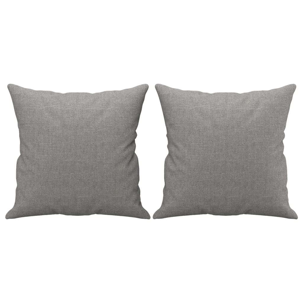 Vidaxl Coussins décoratifs 2 ST 40x40 cm Gris clair