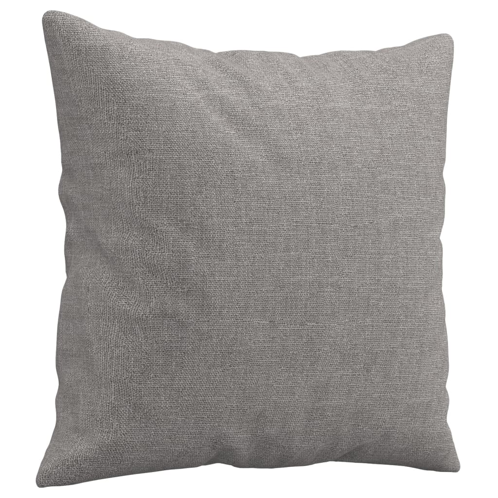 Vidaxl Coussins décoratifs 2 ST 40x40 cm Gris clair