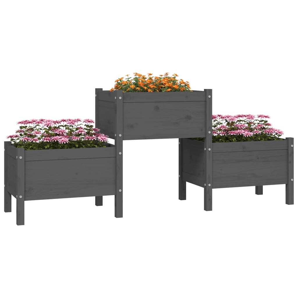 Vidaxl Planning Box 178.5x44x75 cm Gray de pin solide