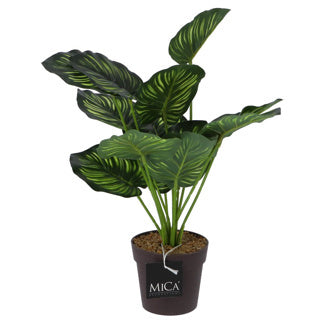Mica decorations plante artificielle calathea en pot vert 40 cm