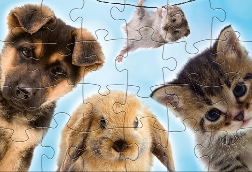 Puzzle Rebo 2x24 pièces - bébé anima