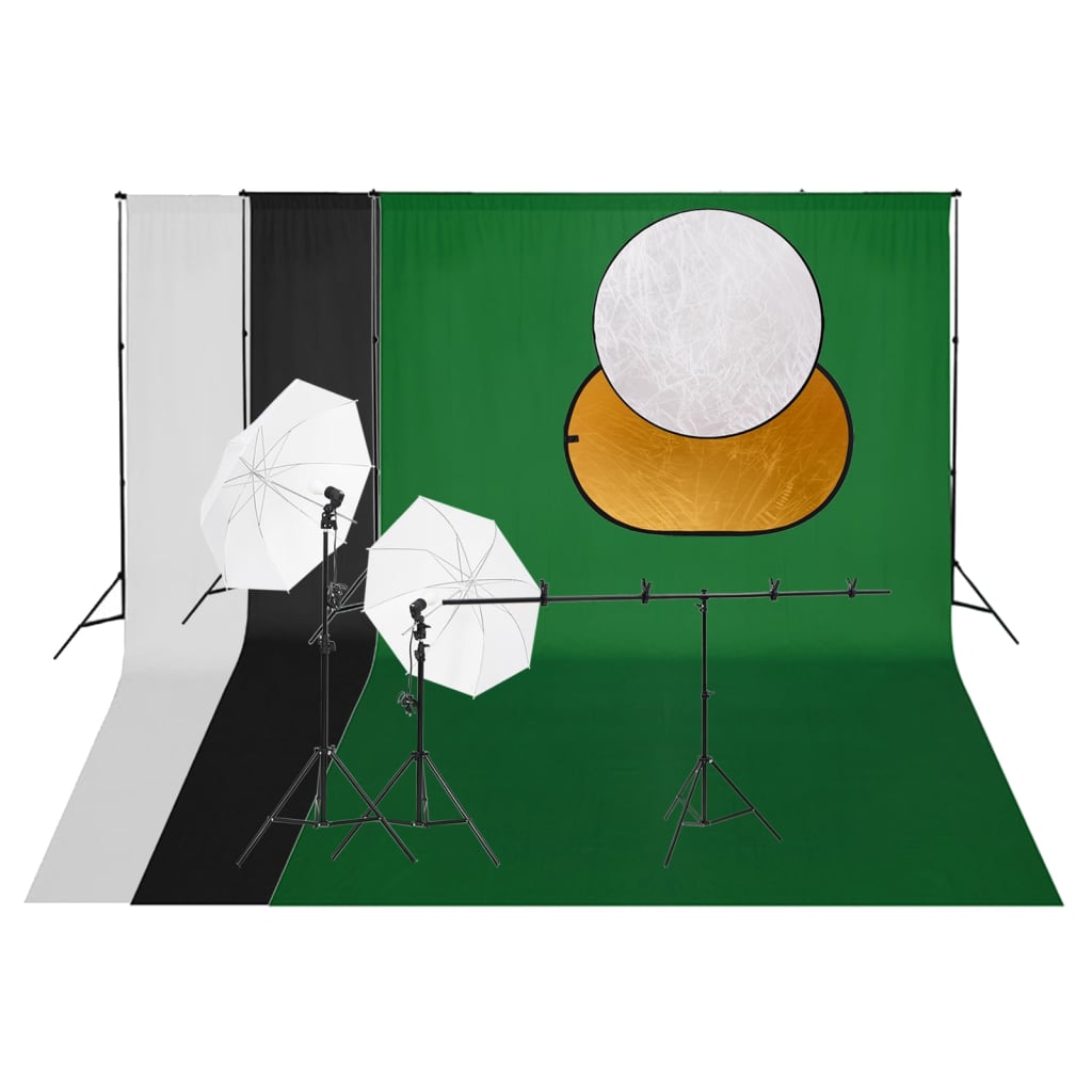 VidaXL Ensemble de studio photo avec fond d'éclairage et réflecteur