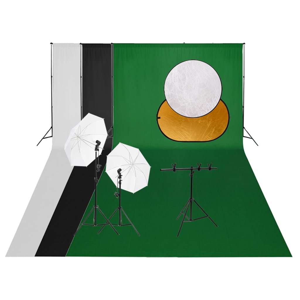VidaXL Ensemble de studio photo avec fond d'éclairage et réflecteur