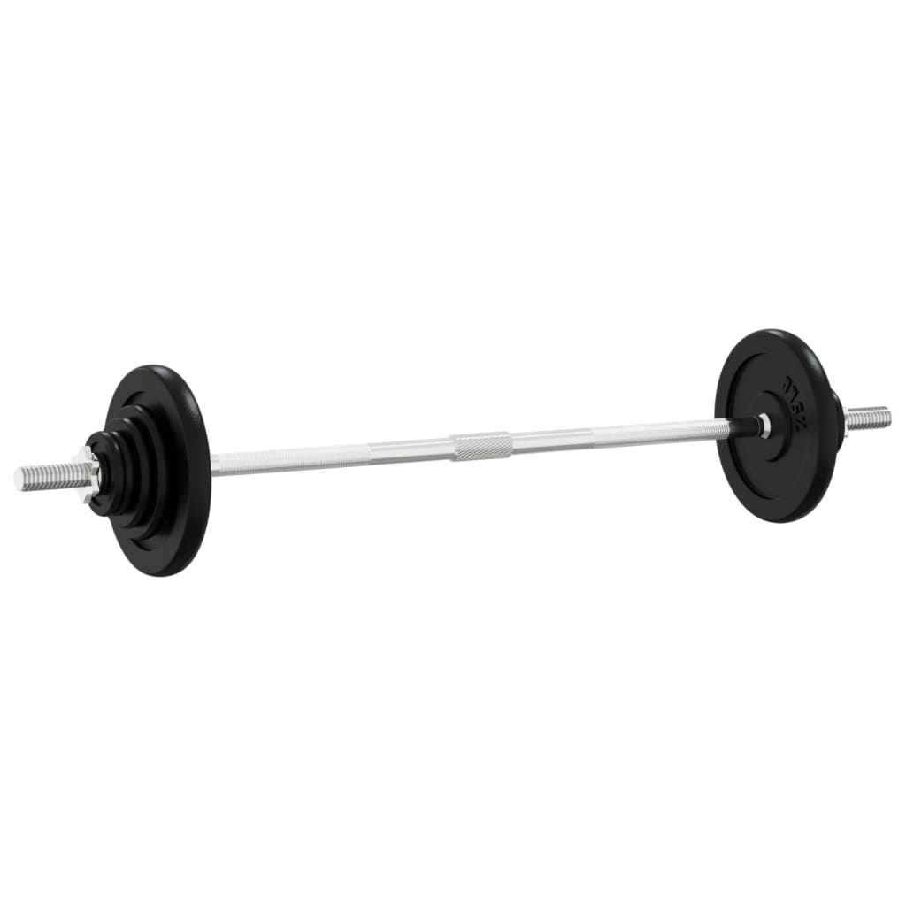 VidaXL Haltère avec poids 90 kg en fonte