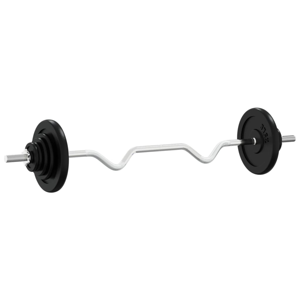 VidaXL Haltère avec poids 90 kg en fonte et acier chromé