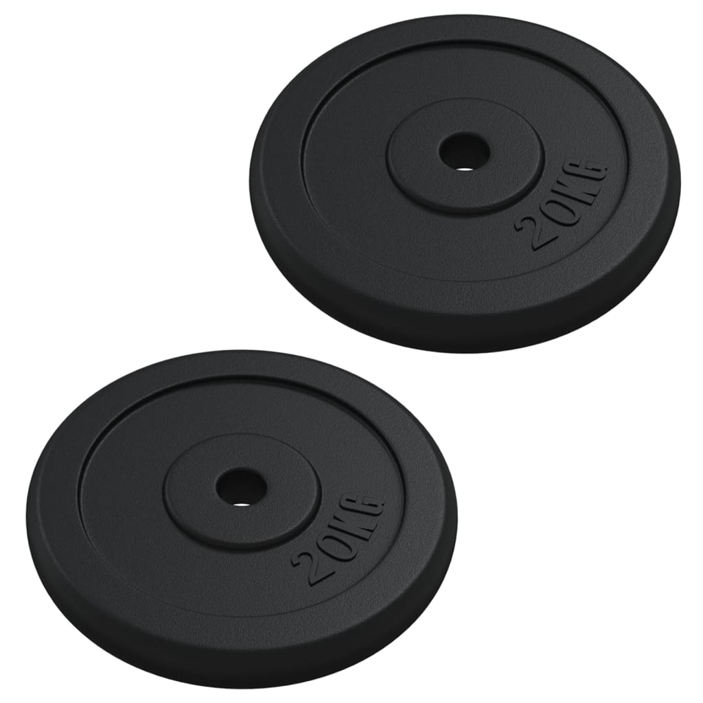 VidaXL Plaque de poids 40 kg en fonte