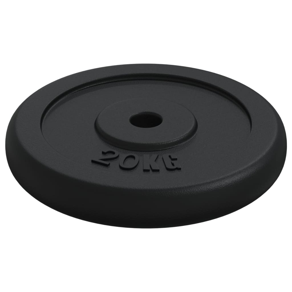 VidaXL Plaque de poids 40 kg en fonte