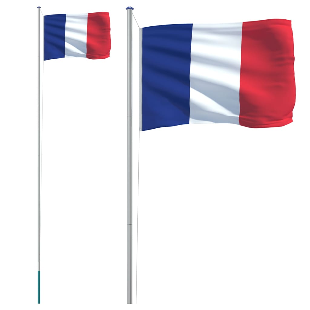 VidaXL Drapeau avec mât France 6,23 m aluminium