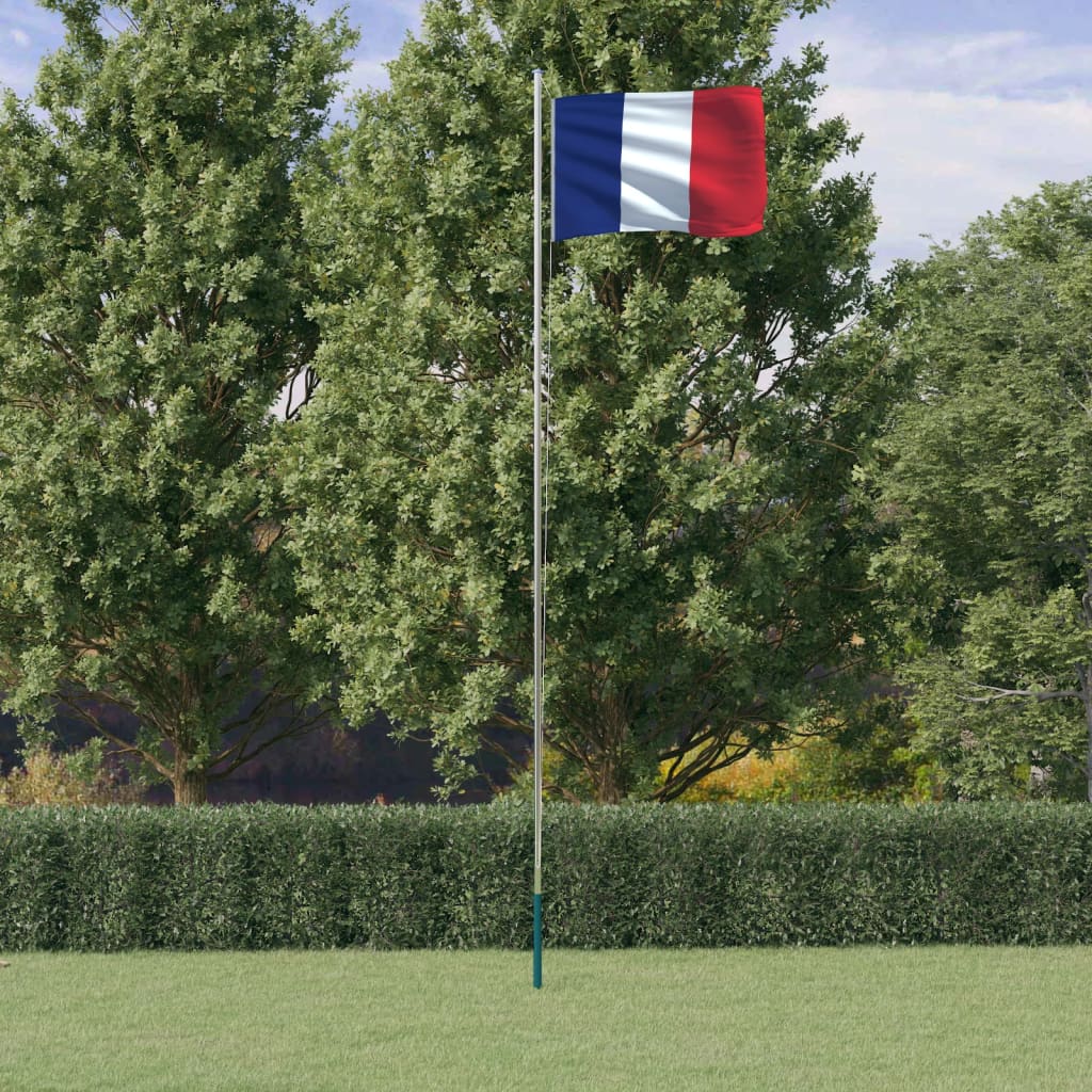 VidaXL Drapeau avec mât France 6,23 m aluminium