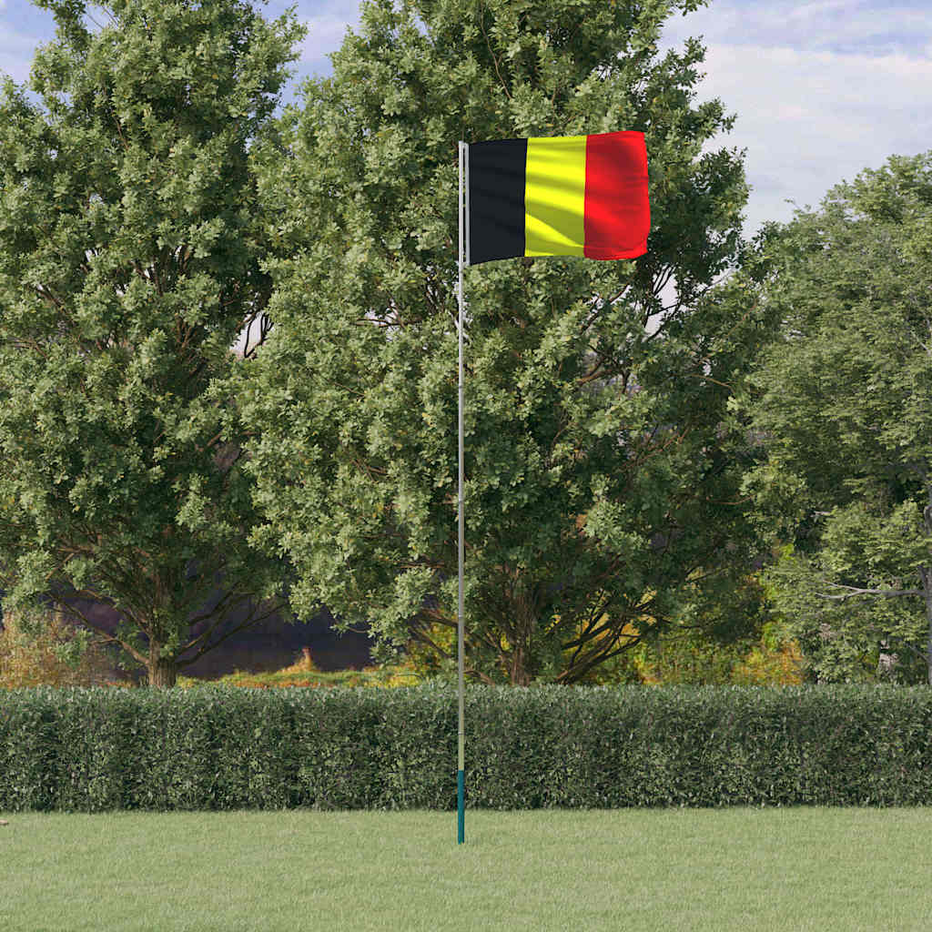 VidaXL Drapeau avec mât 5,55 m aluminium