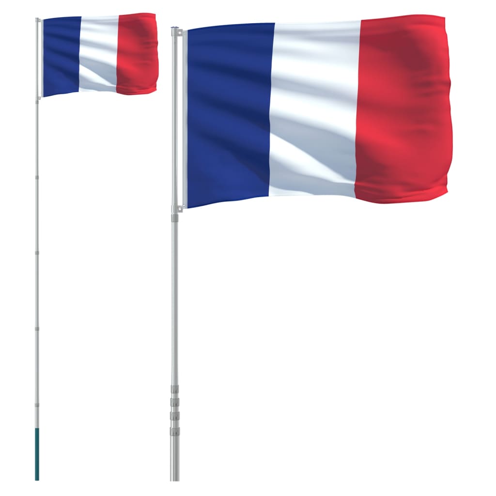 VidaXL Drapeau avec mât France 5,55 m aluminium