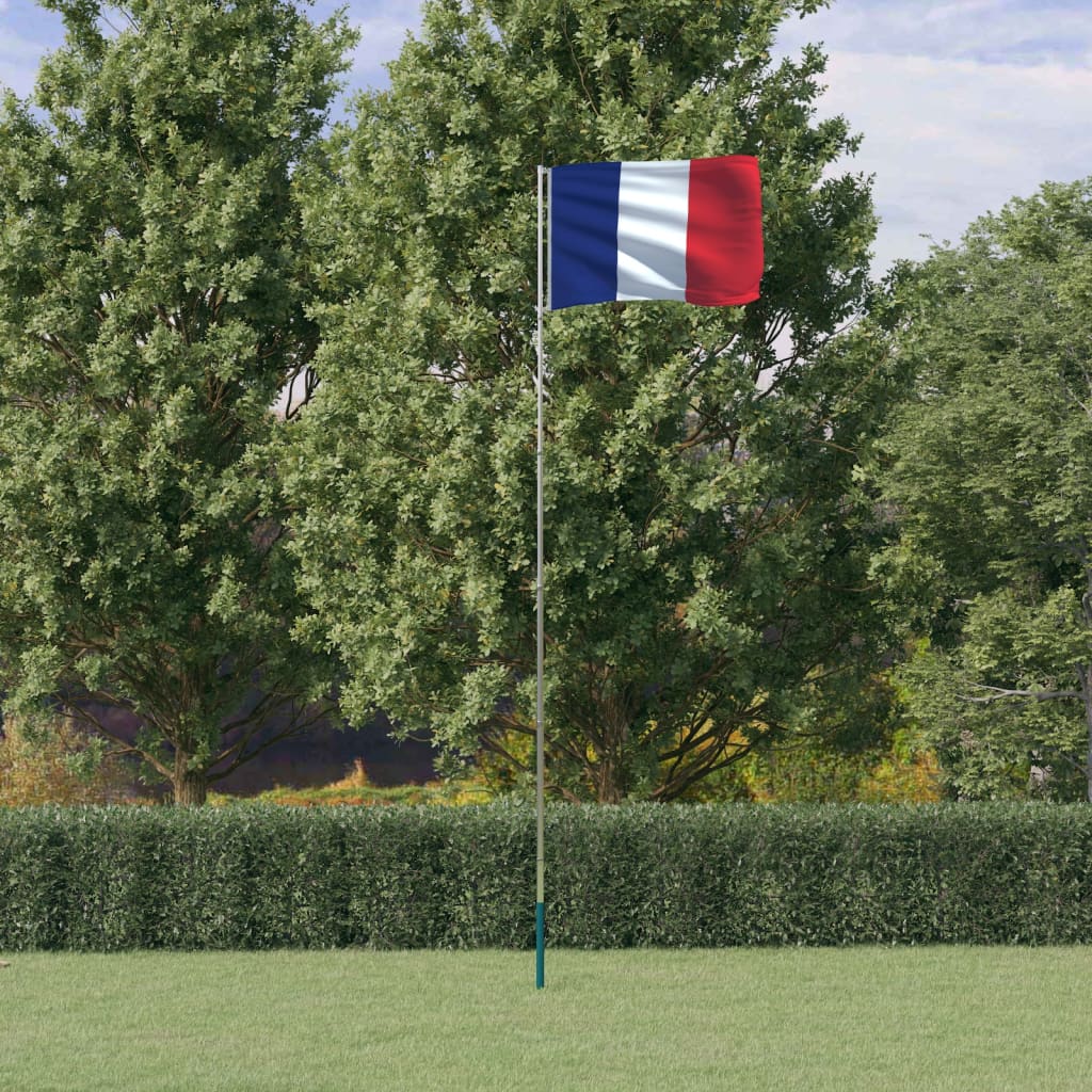 VidaXL Drapeau avec mât France 5,55 m aluminium