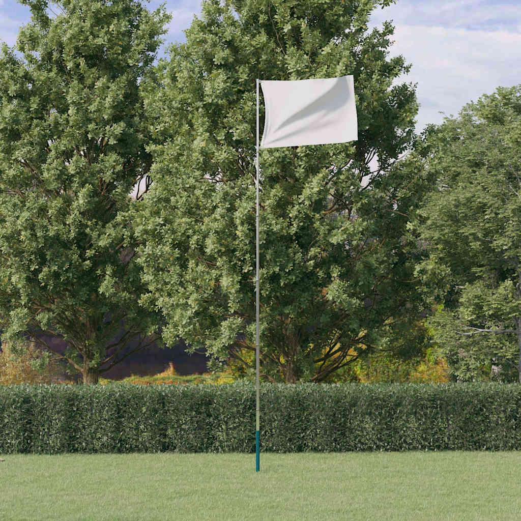 Vidaxx mât de drapeau télescopique 5,55 m aluminium argenté