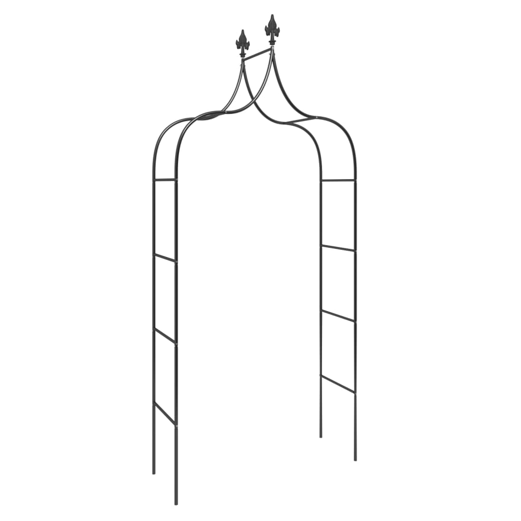 VidaXL arches de jardin 2 pcs 120x38x260 cm acier noir