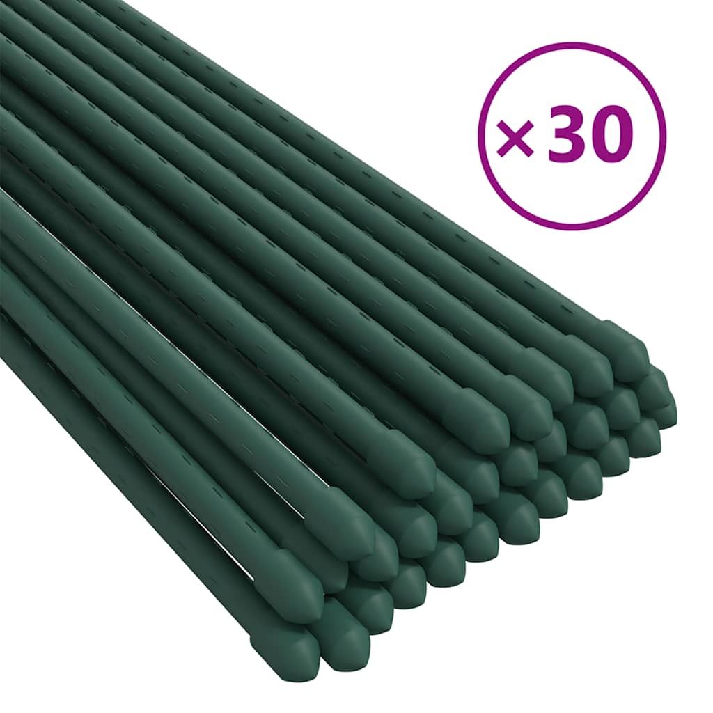 Vidaxxl tuteurs pour plantes 30 pcs 150 cm acier vert