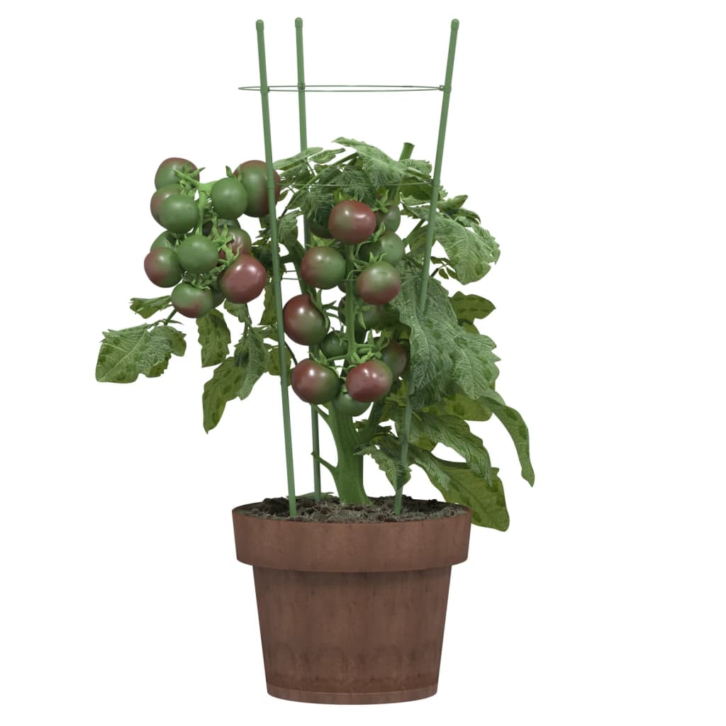Vidaxxl supports pour plantes 5 pcs avec 3 anneaux 45 cm acier vert
