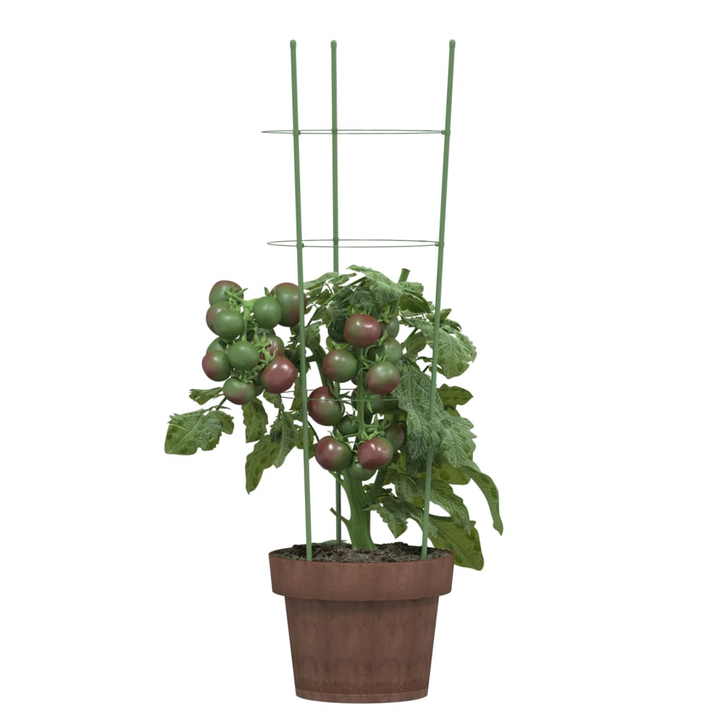 VidaXL supports pour plantes 5 pcs avec 3 anneaux 60 cm acier vert