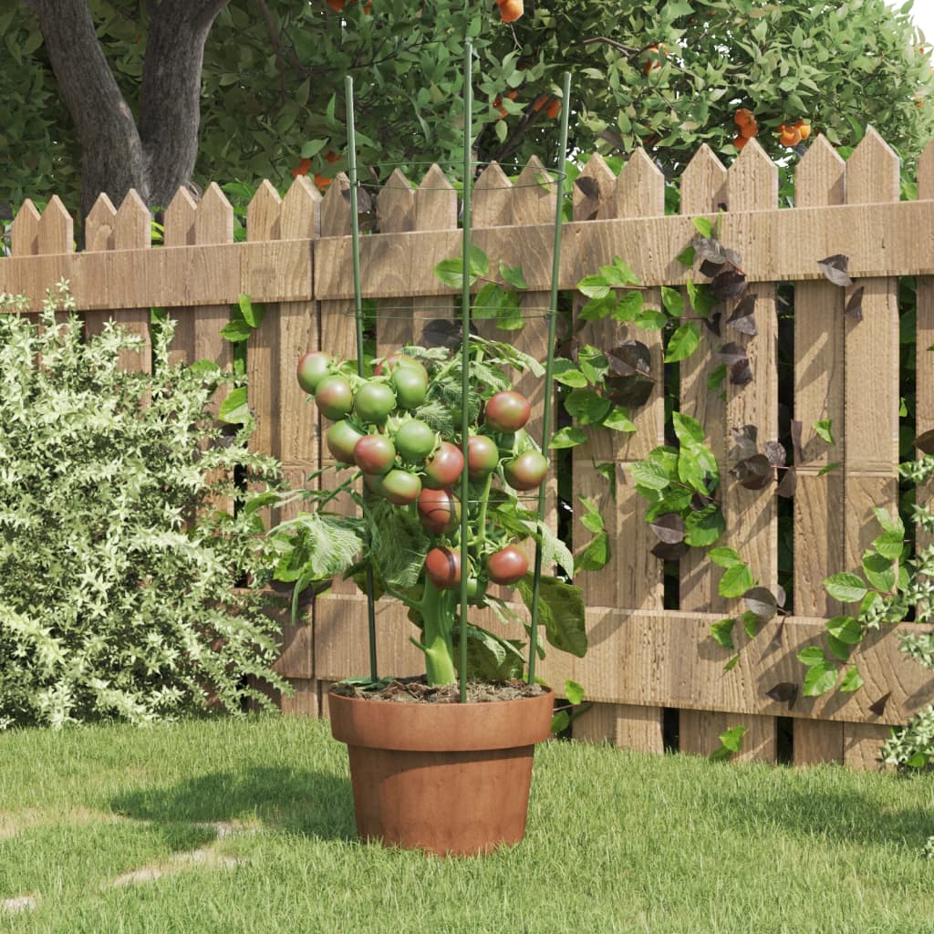 VidaXL supports pour plantes 5 pcs avec 3 anneaux 60 cm acier vert