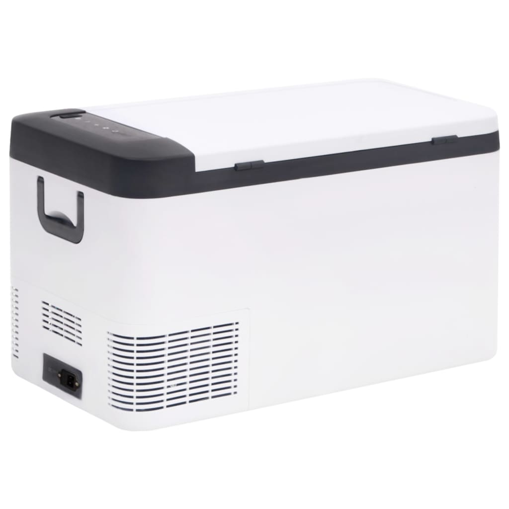 VidaXL Glacière avec poignée et adaptateur 18 L PP PE noir et blanc