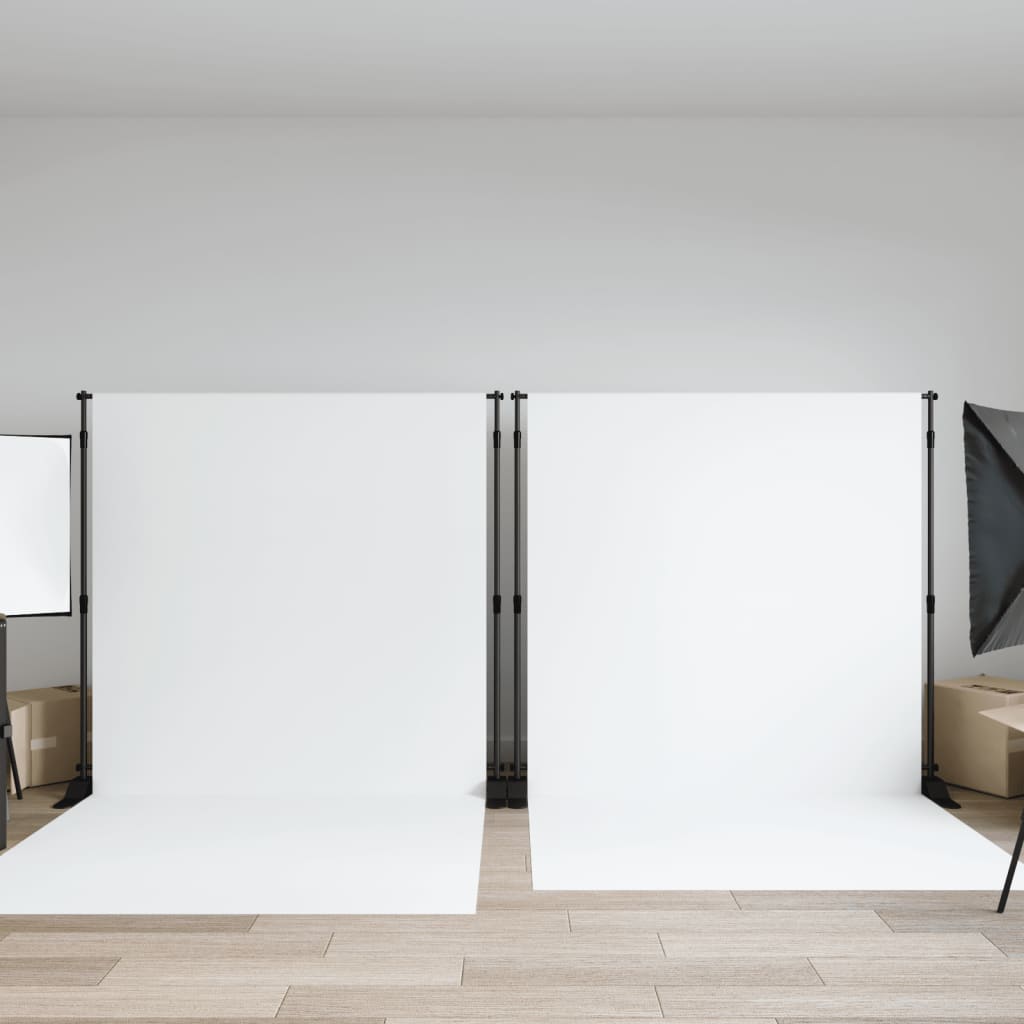 VidaXL Supports de fond 2 pcs 254x243 cm acier noir