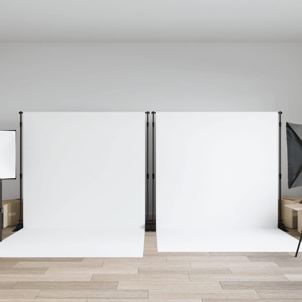 VidaXL Supports de fond 2 pcs 305x243 cm acier noir