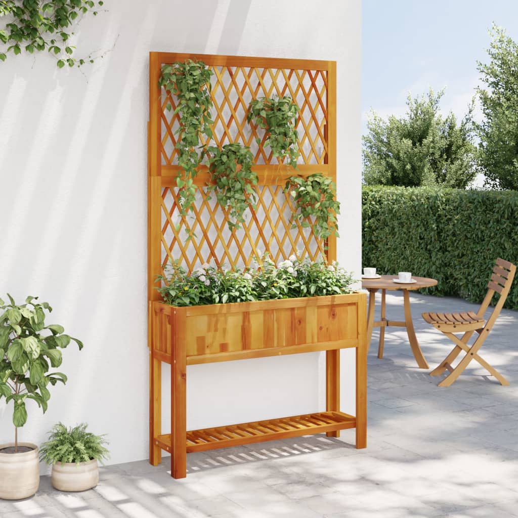 Vidaxx jardinière avec treillis et étagère 100x32x185 cm bois d'acacia