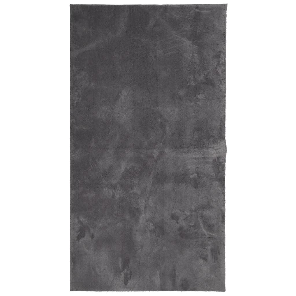 VidaXL tapis huarte poils courts doux lavable 60x110 cm anthracite