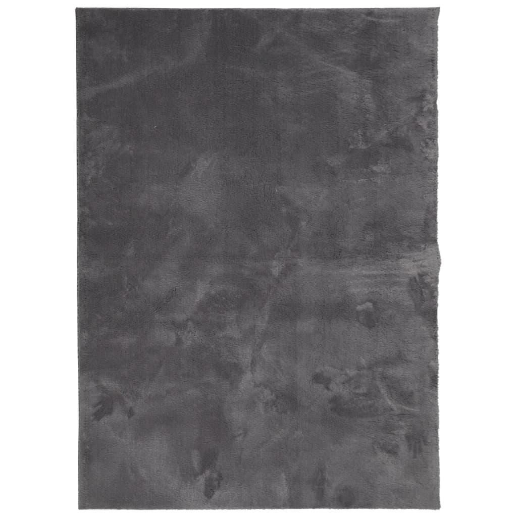 VidaXL tapis huarte poils courts doux lavable 140x200 cm anthracite