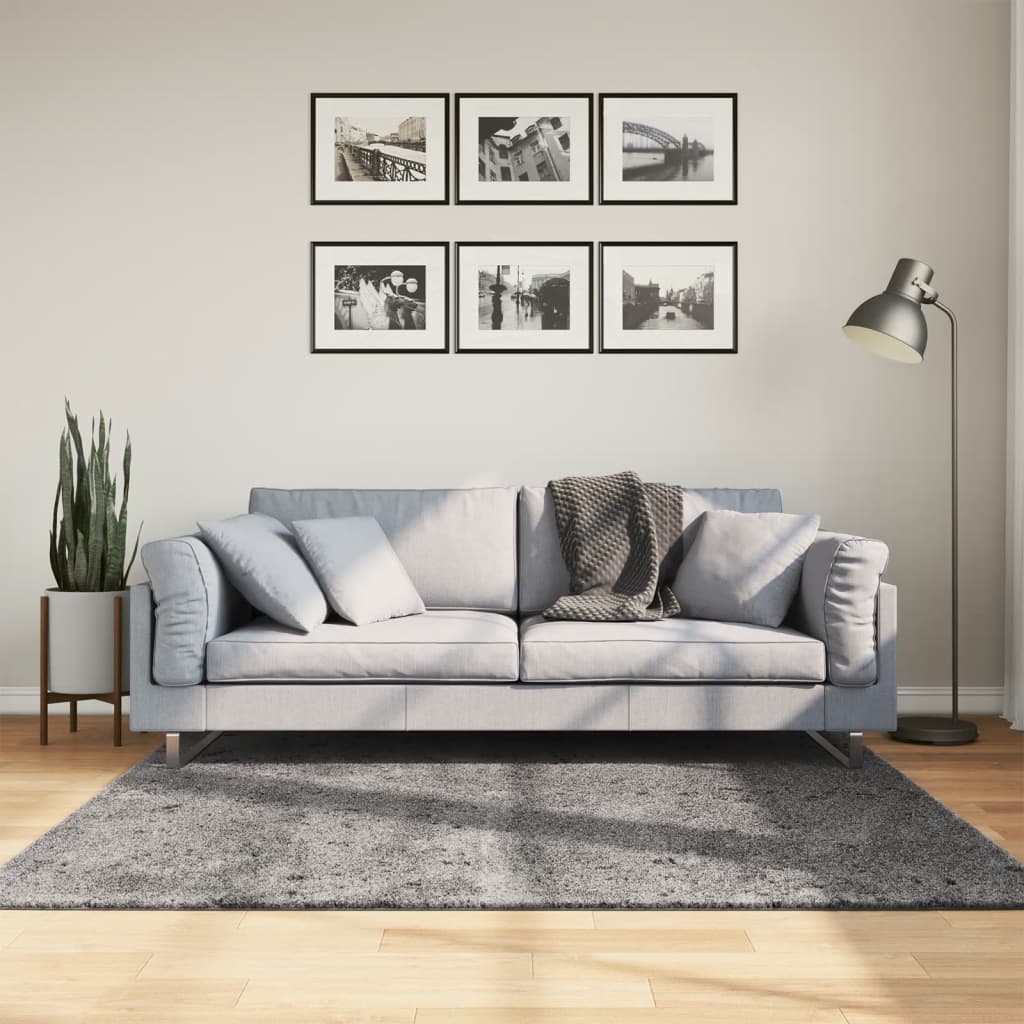 VidaXL tapis huarte poils courts doux lavable 160x160 cm anthracite