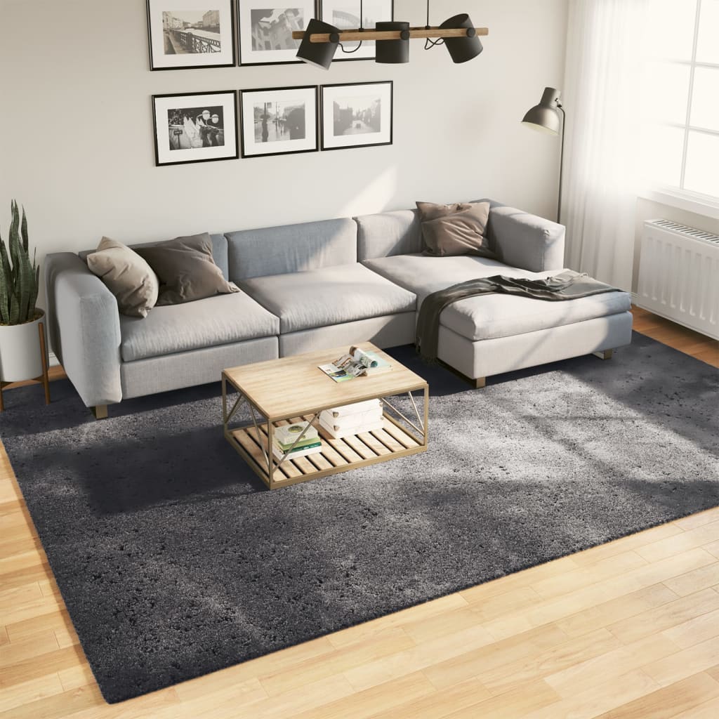 VidaXL tapis huarte poils courts doux lavable 240x340 cm anthracite