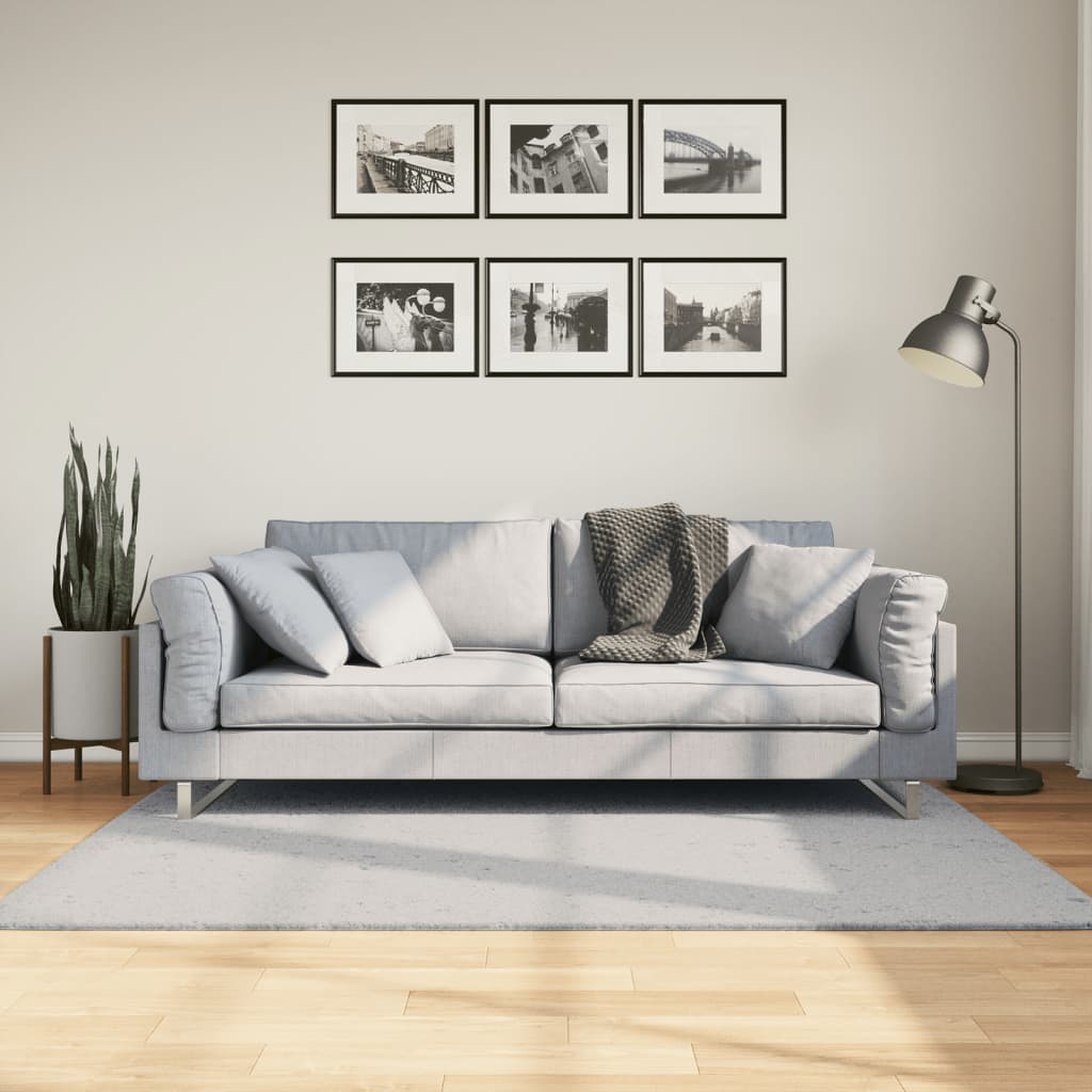 Vidaxx tapis huarte poils courts doux lavable 120x170 cm gris