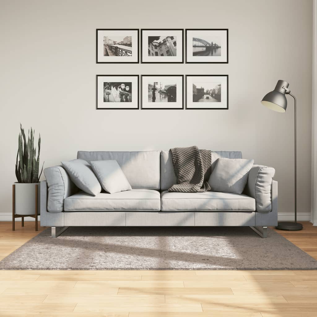 VidaXL tapis pamplona shaggy poils longs moderne 120x170 cm beige