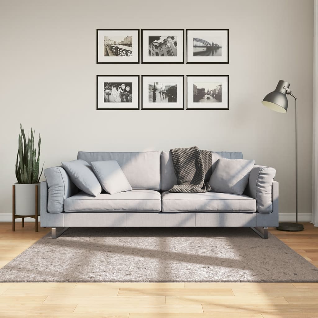 VidaXL tapis pamplona shaggy poils longs moderne 160x160 cm beige