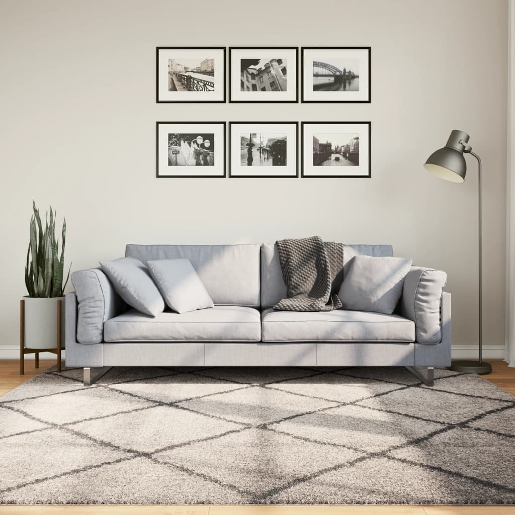 VidaXL Tapis PAMPLONA shaggy poils longs 200x200 cm beige anthracite