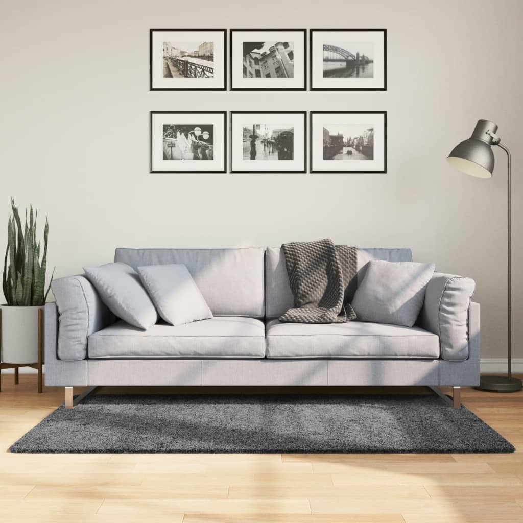Vidaxx tapis oviedo poils ras 120x170 cm anthracite