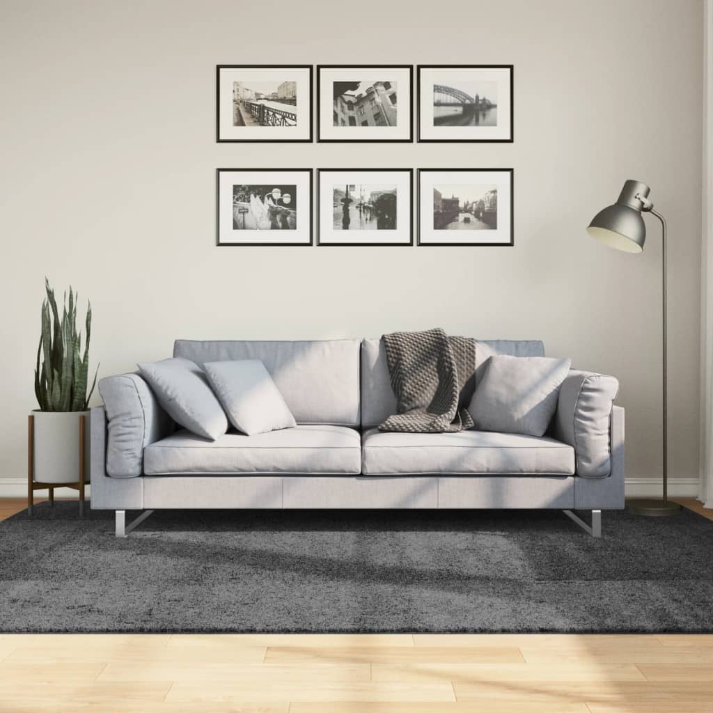 Vidaxx tapis oviedo poils ras 160x230 cm anthracite