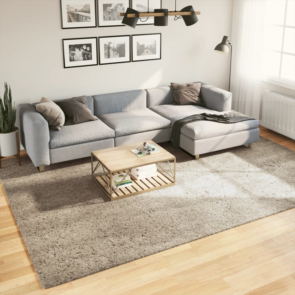 VidaXL Tapis ISTAN poils longs brillant 240x340 cm beige