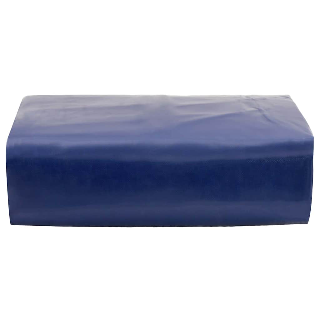 Bâche VidaXL 650 g m² 3x6 m bleu