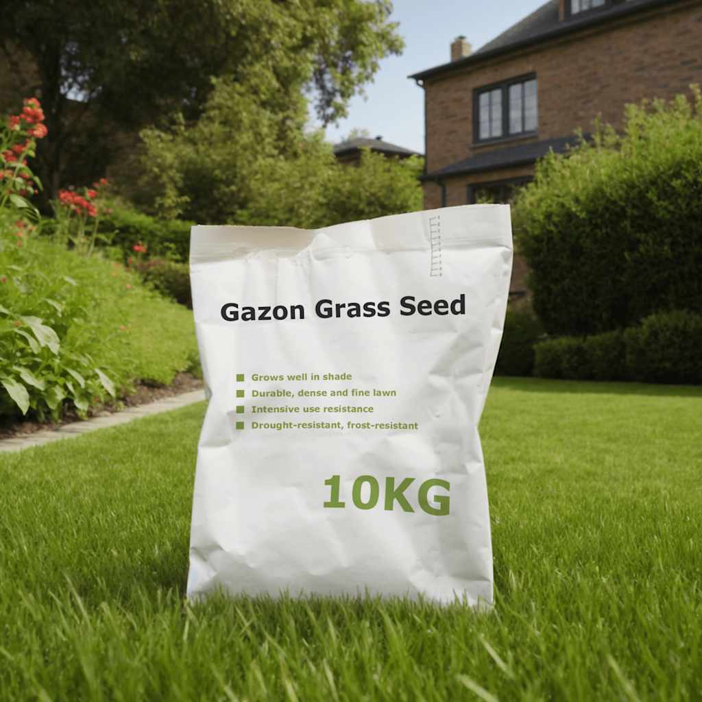 VidaXL Semences de gazon 10 kg