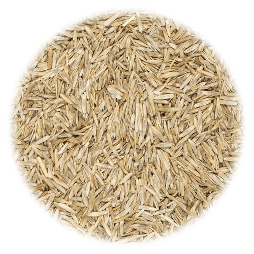 VidaXL Semences de gazon pour champs et pâturages 10 kg