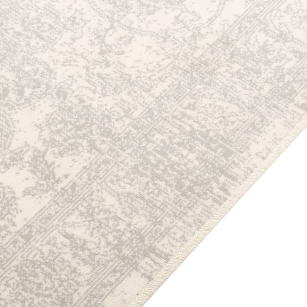 Tapis Vidaxx pour intérieur et extérieur, poils ras, 190x300 cm, multicolore