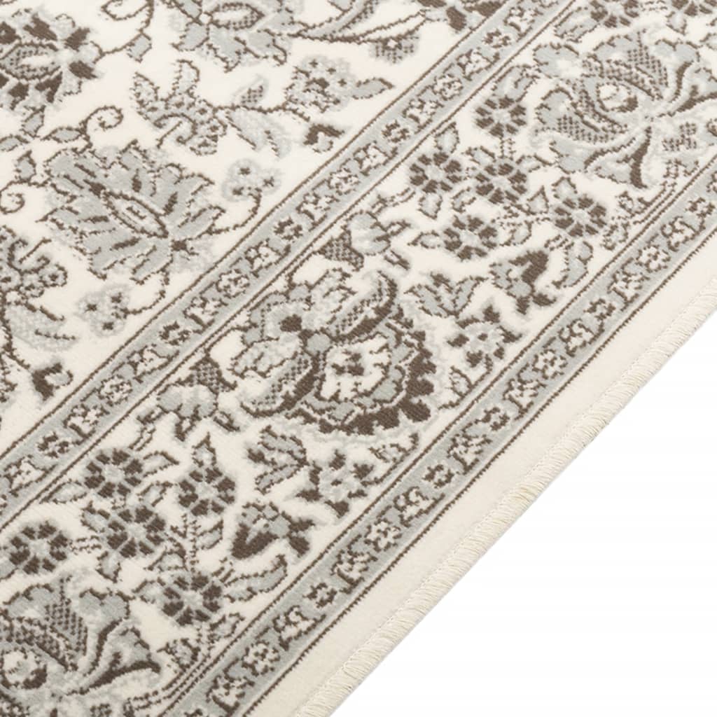 Tapis Vidaxx pour intérieur et extérieur, poils ras, 190x300 cm, multicolore