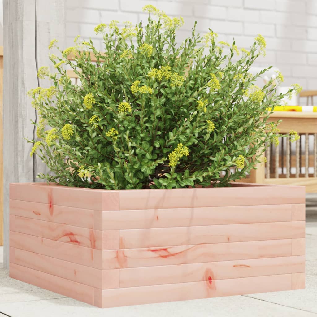 Jardinière Vidaxx 50x50x23 cm bois de Douglas massif